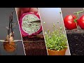 TOP 32 Most Beautyful Timelapse I Ve Ever Seen Greentimelapse Gtl Timelapse