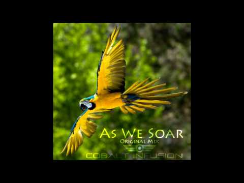 Cobalt Infusion - As We Soar (Original Intro Mix)