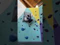 White v8 at Movement Dallas the Hill #bouldering #climbing #rockclimbing