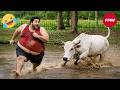 Try Not To Laugh Challenge 99 Will Fail Funny Videos Compilation 2026 193