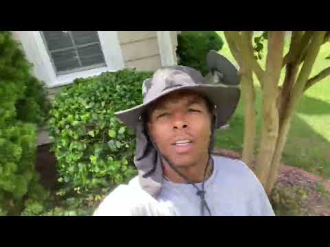 Bush trimming Timelapse + TRIPOD camera mount