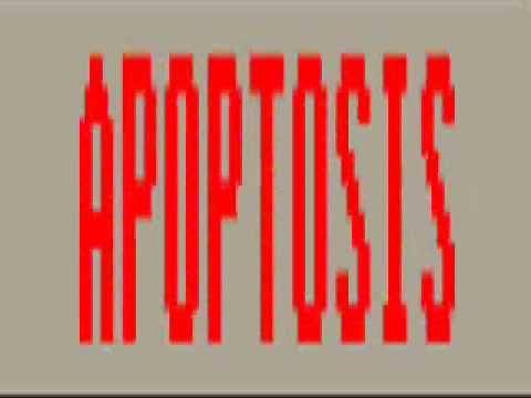 When I Shout Thunder (Lady Sovereign Vs Vex'd) Mash Up