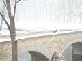 Antietam Remembered