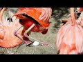Flamingos Nesting At Gladys Porter Zoo