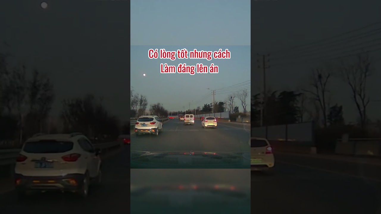 Phải tước bằng lái ô tô