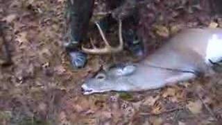 preview picture of video 'Rod's Deer!!'