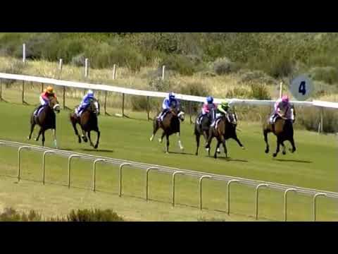 KASIMIR - Kenilworth 9/1/21