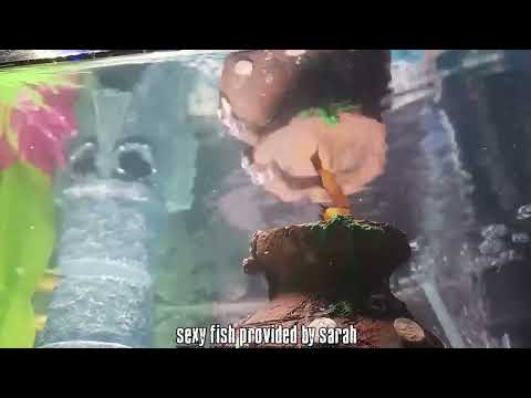 The Snow Plow Show Episode 774 - Tenants, Ideas, Requests and Hotels