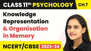 Knowledge Representation & Organisation in Memory - Human Memory | Class 11 Psychology Ch 7 | CBSE