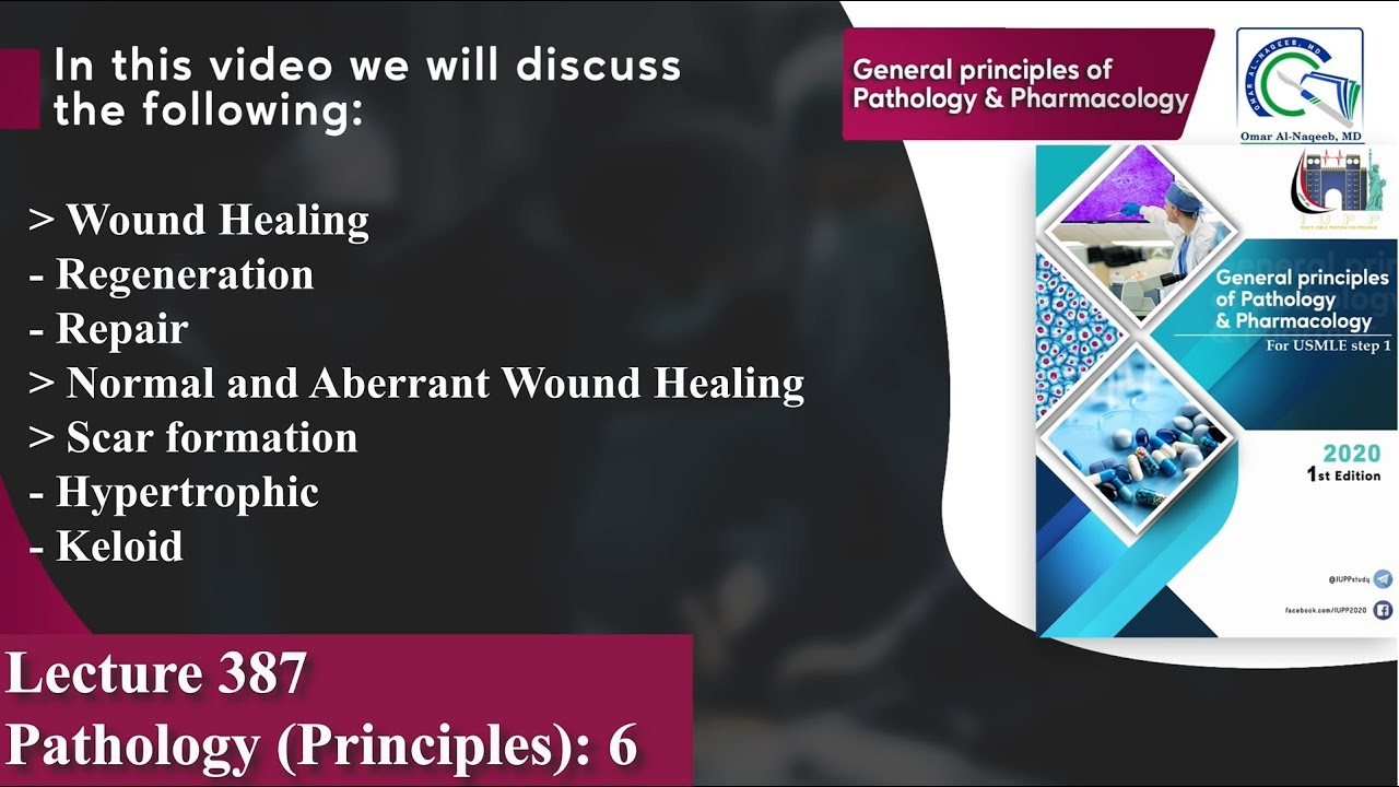 Wound Healing | Mechanisms of Tissue Regeneration and Repair | Scar formation