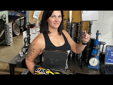 Are Ebay China 1218 valve springs a good Idea for your budget build?