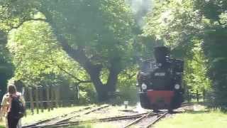 preview picture of video 'Morgó gőzössel Királyréten / Steam loco on Királyrét Forest Railway (Resica 490)'