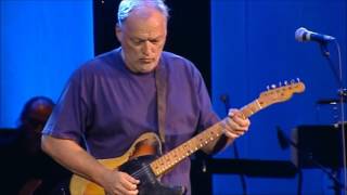 David Gilmour - Don&#39;t