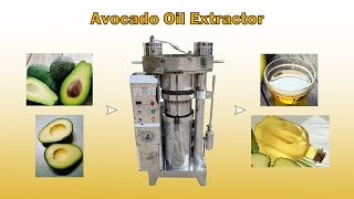Super pure hydraulic avocado oil extractor machine | how to make natural cold-pressed avocado oil?