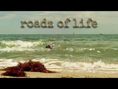 Dog Swims Surf Waves | Fetch | Cinematic Moment | Beach Dog | Roadz Of Life