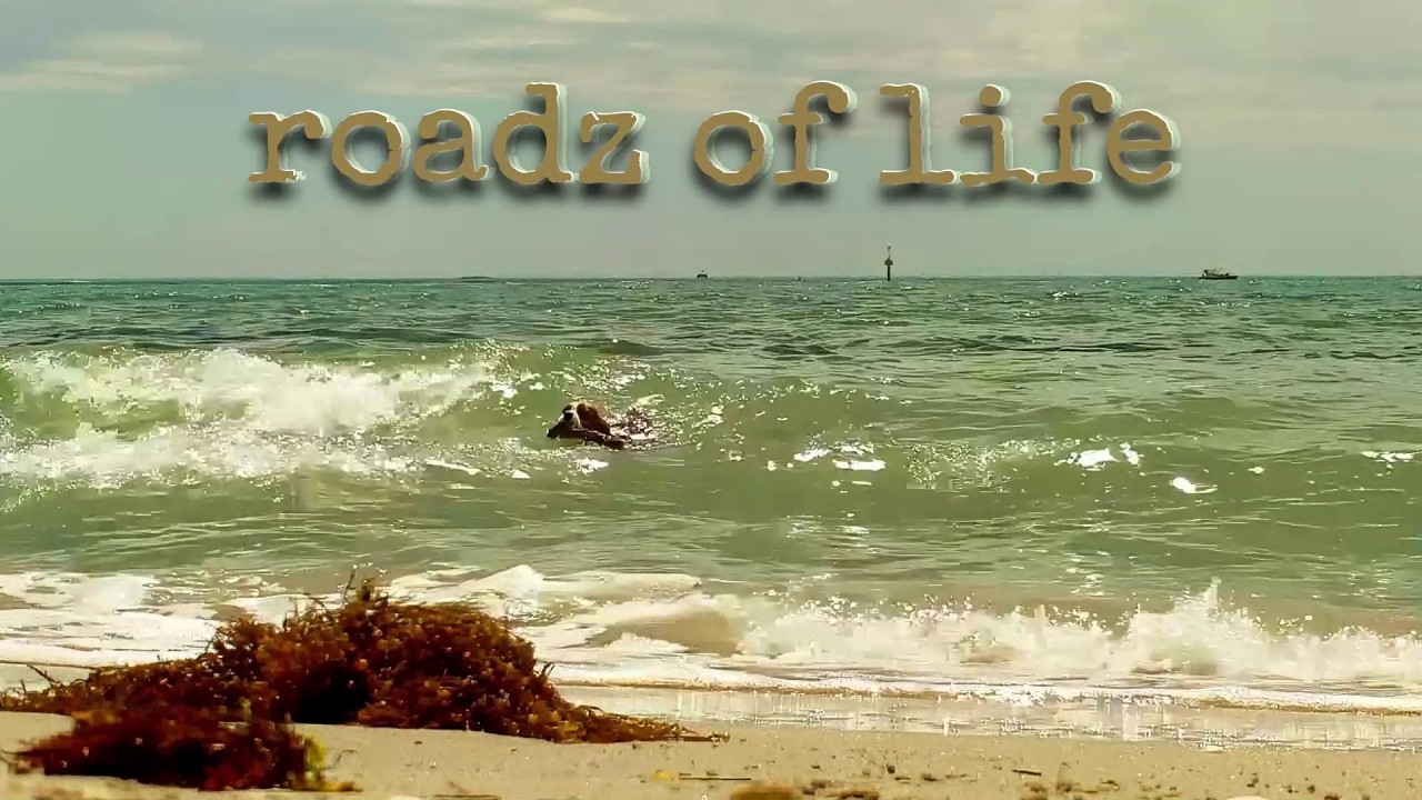 Roadz of Life trailer thumbnail