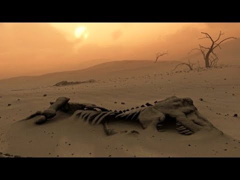 01. La terra dopo i Dinosauri - La rivincita dei mammiferi