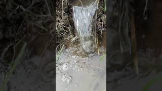 Download lagu Status WA ''Suara Air Yg bikin Adem'' mp3 Download lagu Status WA ''Suara Air Yg bikin Adem'' mp3