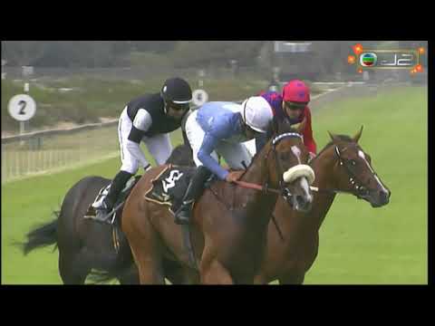 2020 City of Cape Town Politician Stakes G3 - Silver Host (銀貴賓) - R.Fourie