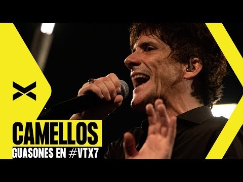 Camellos - Guasones
