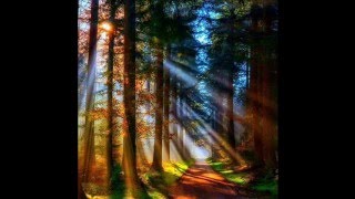 Neil Sedaka   -   The Hungry Years  ( audio - lyrics )