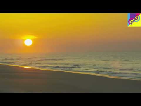 Free Nature background stock video for editing- Editent