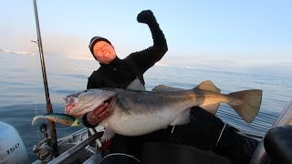 preview picture of video 'Fiskeri efter Skrei fra øen Sørøya i det norlige Norge'