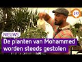 Mohammed heeft eigen tuincentrum opgebouwd, maar wordt steeds bestolen