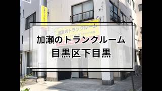 YouTube動画