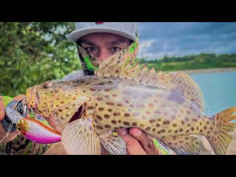Shore Jigging, hunt for Giant Trevally.
