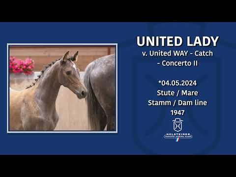 Holsteiner Fohlenmonat | Fohlen v. United Way - Catch - Concerto II