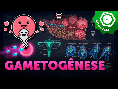 Gametogênese
