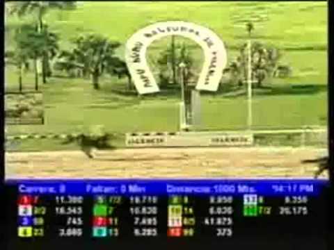 Resumen Viernes, 04 de Julio de 2014 - Valencia