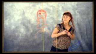 ZAZ - On Ira