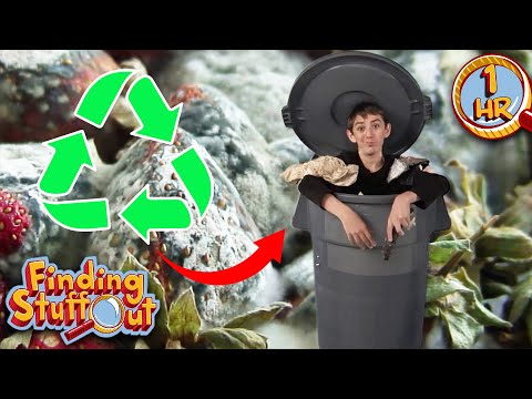 Trash to Treasure: Exploring Garbage & Recycling | Full Episode | Finding Stuff Out