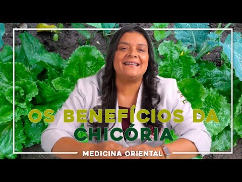 The Benefits of Chicory (Health Tips)