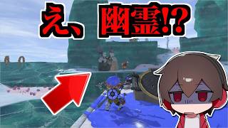 シャケをじっと見ていたら、怖いことが起きた…。【スプラトゥーンレイダース】【スプラ小ネタ】