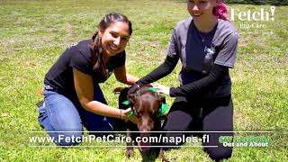 Fetch Pet Care Naples May 2023