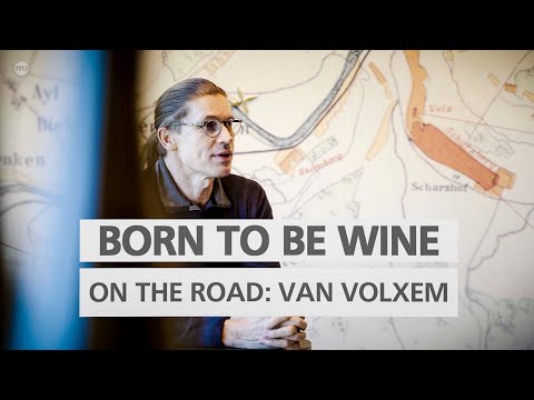 BORN TO BE WINE on the road - Zu Besuch auf Weingut Van Volxem