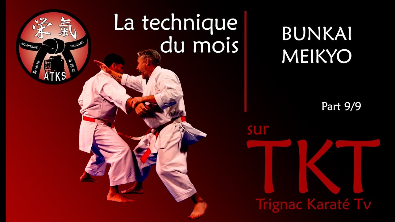Bunkai Meikyo Part 9