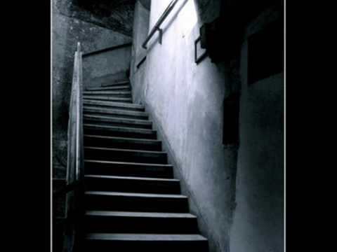 The Trust  - Utíkám