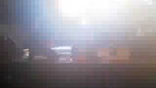 Avulsed - Pirranha(Exodus)