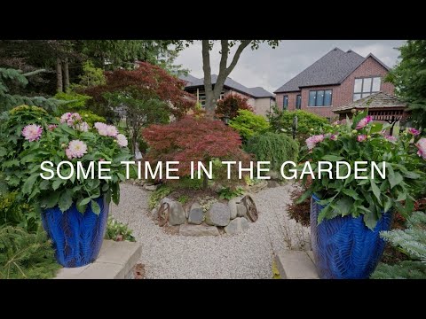 Rare Japanese Maples & Unusual Trees in an Ontario Collector’s Garden #gardentour #japanesemaple