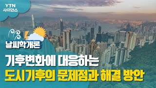 [날씨학개론] 기후변화에 대응하는 도시기후의 문제점과 해결 방안 / YTN 사이언스
