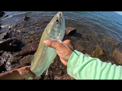 2 dias pescando en El Chocon ,embalse Ezequiel Ramos Mexia 