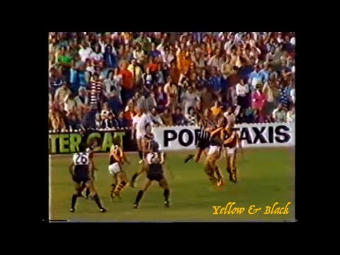 1981 VFL/SANFL Port Adelaide Vs Richmond