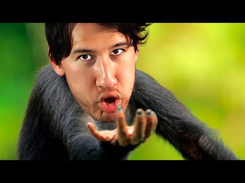 Return to MONKE Simulator