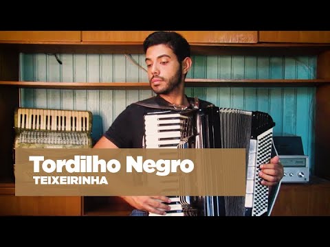TORDILHO NEGRO - TEIXEIRINHA - VÍDEO AULA -106