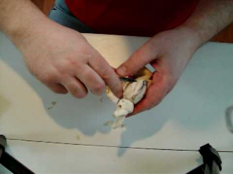 Wood Carving Project Bunny Rabbit #4