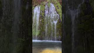 Mossbrae Falls, Mount Shasta #mountshasta #シャスタ #モスブレーフォールズ
